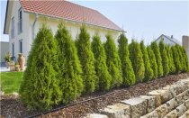 Droppbevattning Gardena 50 meter