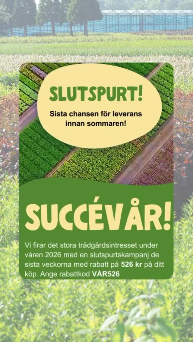 🌿 SUCCÉVÅR hos Häckspecialisten! 🌿Trädgårdsintresset blomstrar som aldrig förr – och nu går vi in i slutspurten innan sommaren! ☀️Passa på att beställa dina häckväxter och träd för leverans redan under v.21–23 och få hela 526 kr i rabatt med koden: VÅR526 🌱✔️ Snabb & fraktfri leverans
✔️ Växtgaranti i 3 år
✔️ Högsta kvalitet direkt hem till dig⏳ Kampanjen gäller t.o.m. 27/5.Beställ nu och skapa en grönare, vackrare trädgård lagom till sommaren! 🌳💚#häckspecialisten #trädgårdsinspiration #trädgård #häckväxter #trädgårdstips