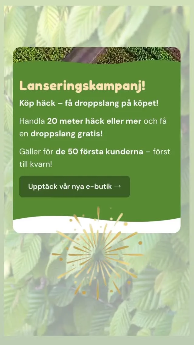 Välkommen till Häckspecialistens nya hemsida!Vi har gjort det enklare och smidigare att hitta rätt häck, se våra produkter och beställa direkt online.Och självklart firar vi lanseringen!De 50 första kunderna som beställer 20 meter häck eller mer får en droppslang på köpet⭐️Välkommen in till nya @hackspecialisten.se 🌿#häckspecialisten #nyhemsida #lansering #häck #trädgård