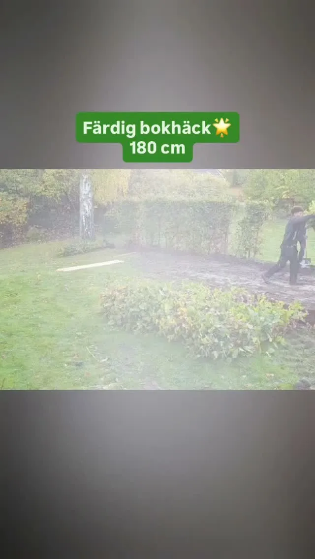 🌿 Snygg bokhäck – färdig på en gång! 🌿Här har vi en plantering med vår Färdig häck Bok 180 cm – färdiga sektioner i hela meter som ger en tät, stilren och imponerande häck direkt! 🙌Slipp vänta i flera år på att häcken ska växa till sig. Med Färdig häck får du ett snyggt resultat från dag ett. 🌱Ett stort tack till vår samarbetspartner @stumab Stockholm Utemiljö AB för ett riktigt bra jobb med planteringen! 👏📍 Vill du också ha en färdig häck direkt? Spana in vårt sortiment på häckspecialisten.se#Häckspecialisten #FärdigHäck #Bokhäck #Trädgårdsinspiration #Häckplantering StockholmUtemiljö